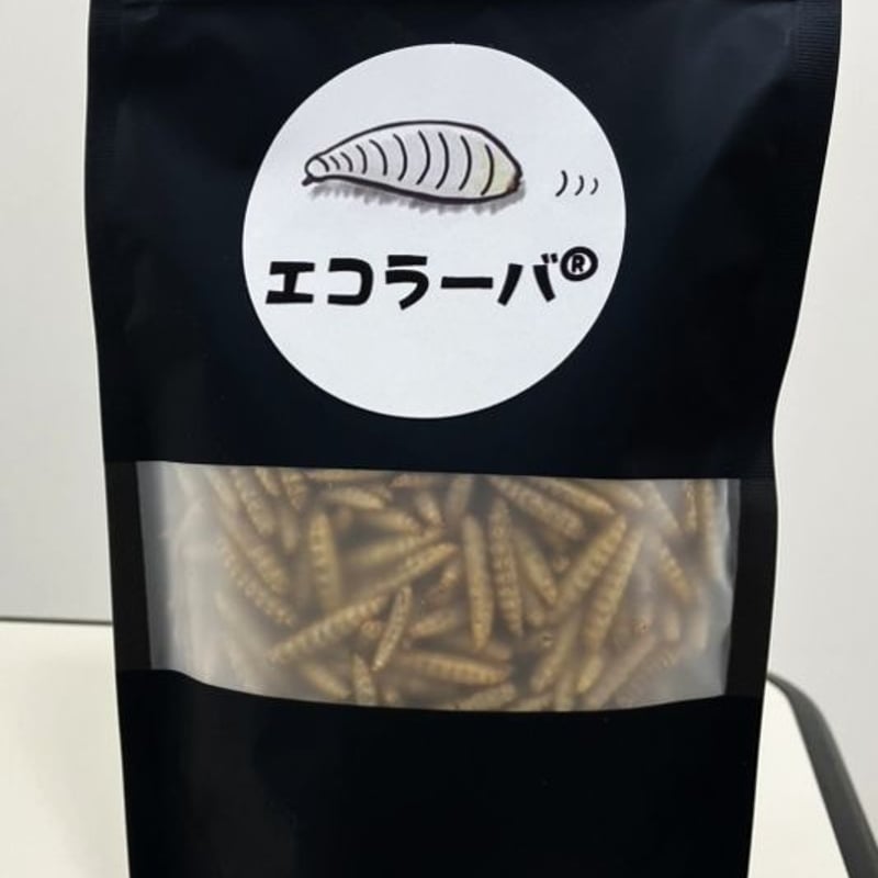 活アメリカミズアブ Online Shop 活アメリカミズアブ Online Shop