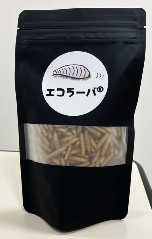 乾燥ミズアブ/30g | 活アメリカミズアブ Online Shop