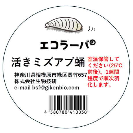 活ミズアブ蛹20匹程度