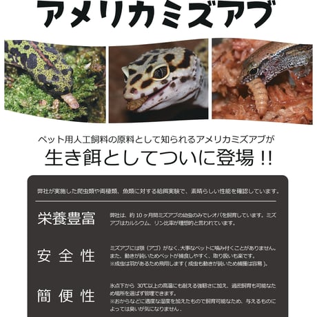 活ミズアブMサイズ（150mg以上）10g程度