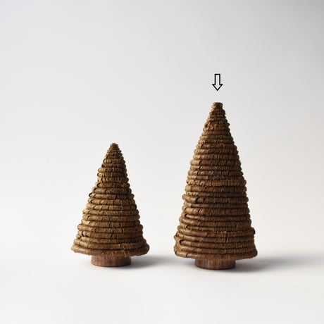 常緑樹（tall）