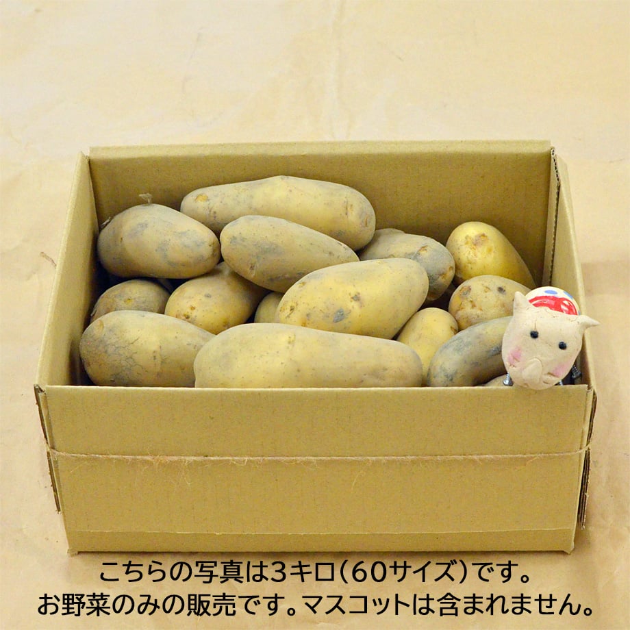 6a2faf2e2ebc2206c73f2359
