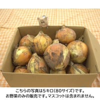 【まごころ製品】ほうぼく農場のたまねぎ（５キロ）