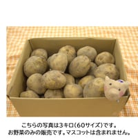 【まごころ製品】ほうぼく農場のじゃがいも（だんしゃく３キロ）
