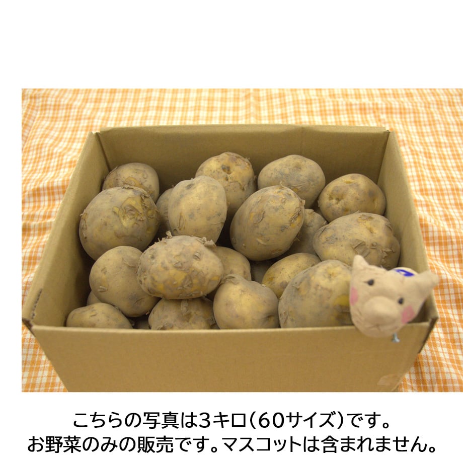 6a269204615df613ebcc541a