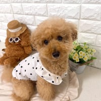 ドット柄フリル付きバルーントップス💕