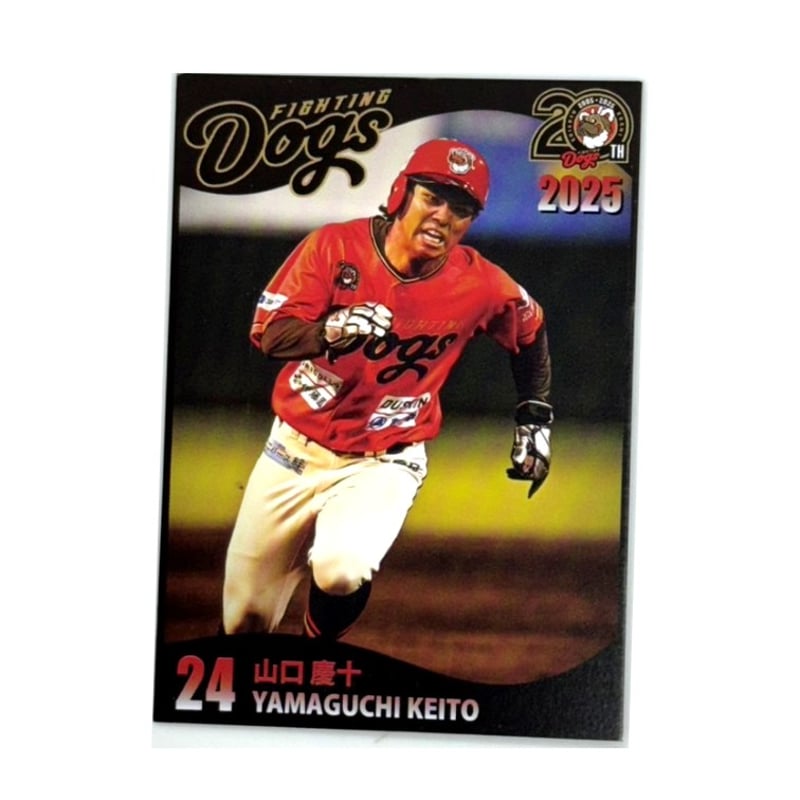 2025トレーディングカード（ばら売り） | 高知FD公式オンライン