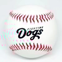 FDロゴ入りボール