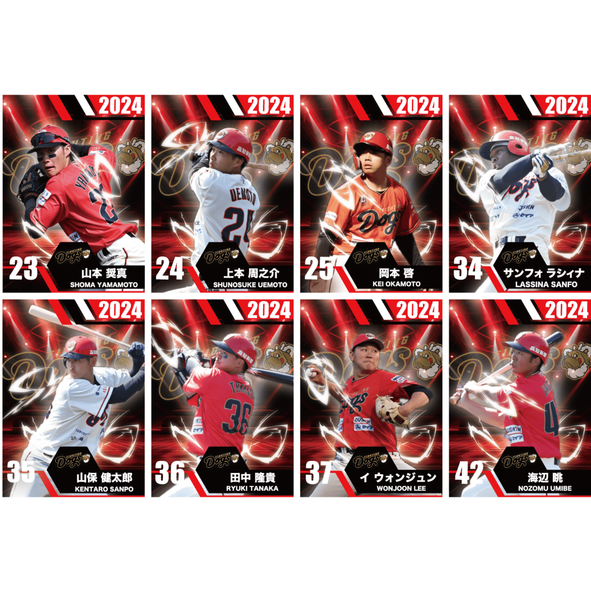 2024WorldClass トレーディングカードセット(ステッカー)35パック 2024トレーディングカード（全種セット） | 高知FD公式