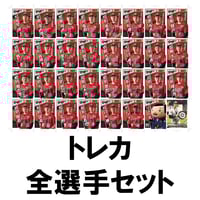 2023トレーディングカード（全種セット）