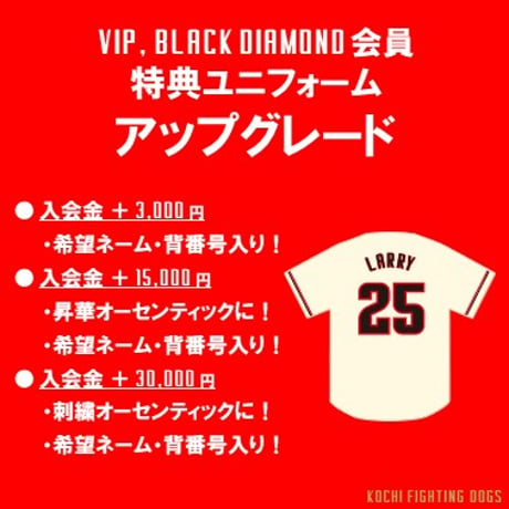 2024 ファンクラブ【BLACK DIAMOND会員】
