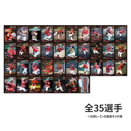 2025トレーディングカード（ばら売り）