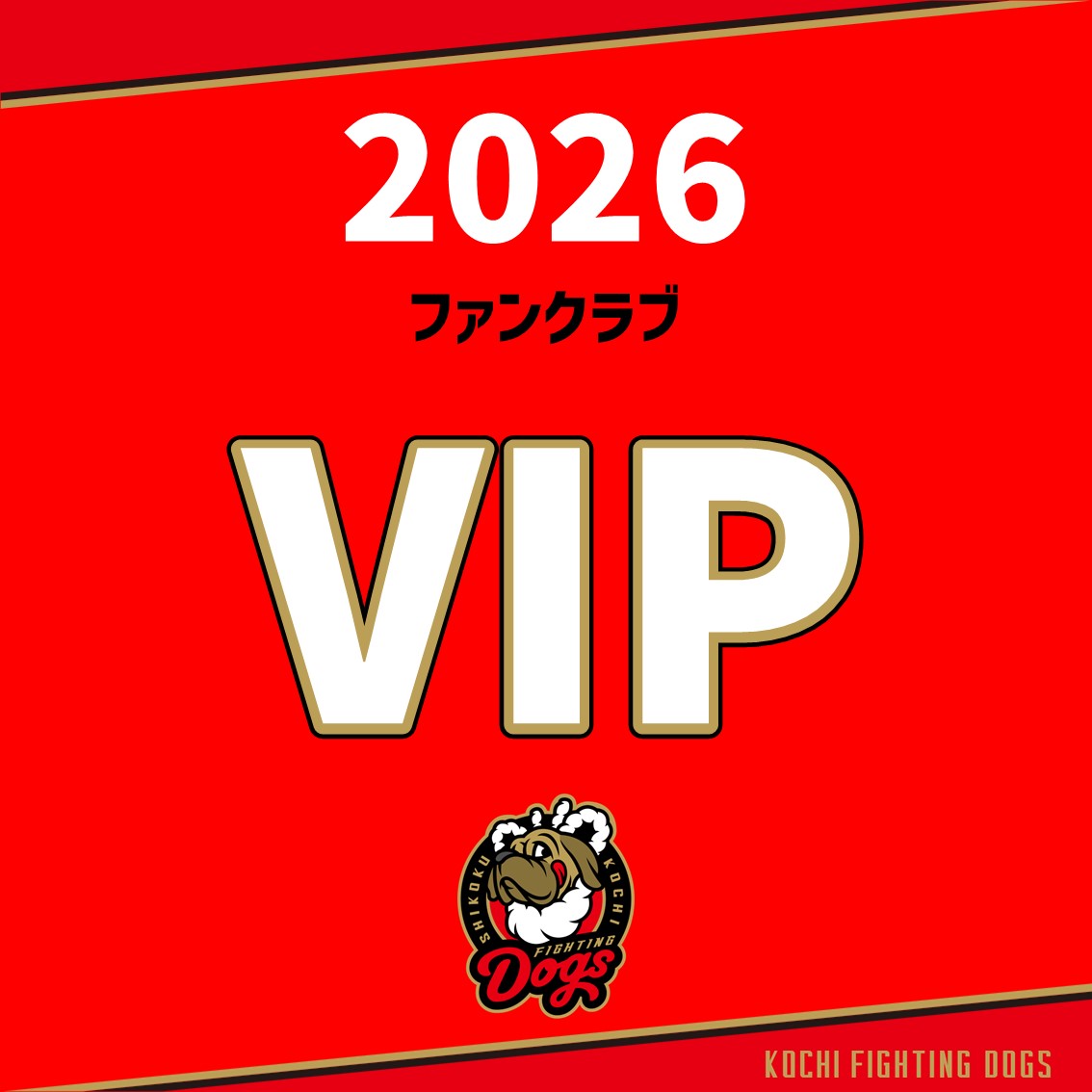 DTFC ダウンタウンファンクラブ会員証 2種セット★送料込み 2026 ファンクラブ【VIP会員】 | 高知FD公式オンラインショップ
