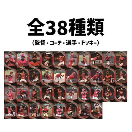2026トレーディングカード