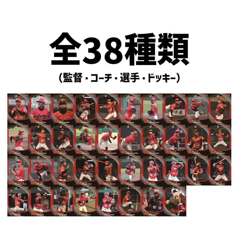 2026トレーディングカード | 高知FD公式オンラインショップ