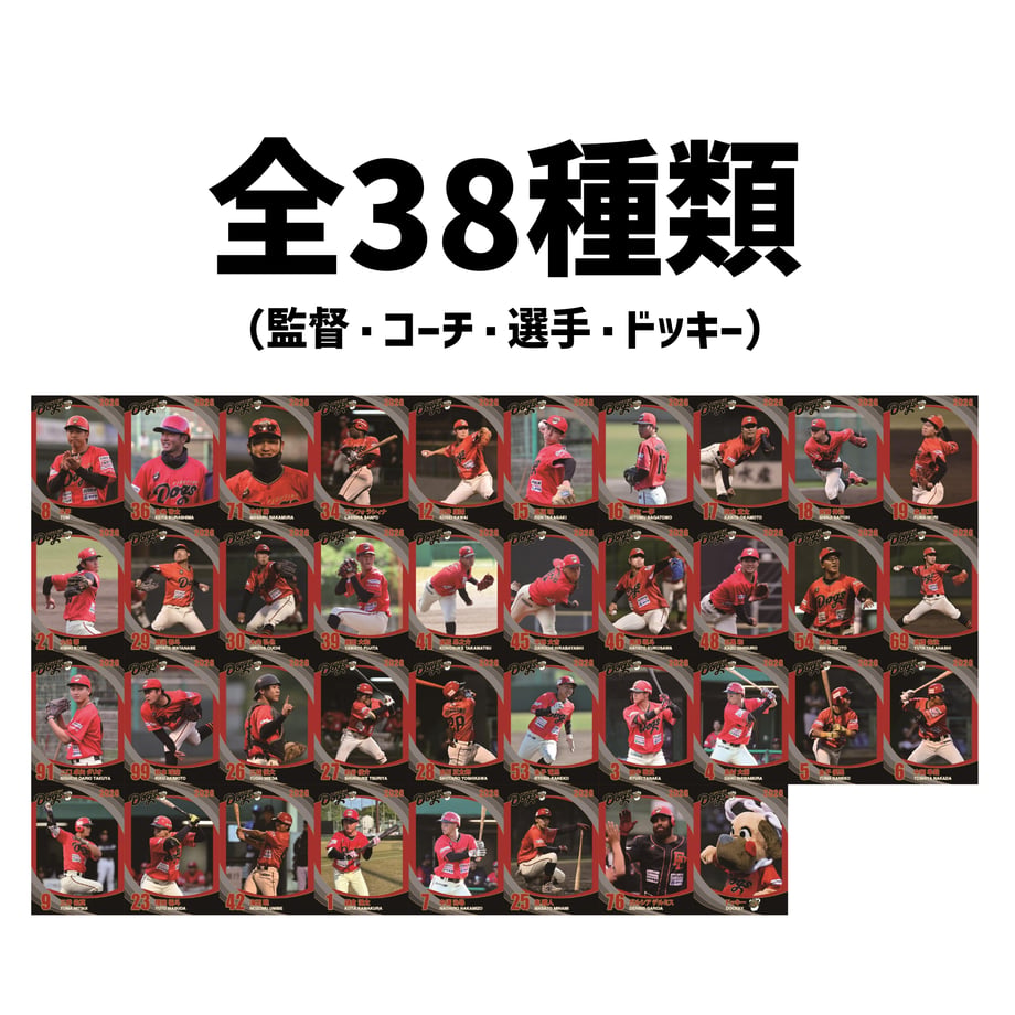 6a321ef060b2038eb4a20276