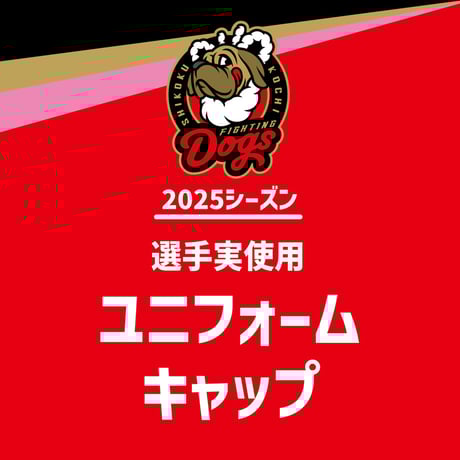 壱岐高校 応援タオル＆キャップ セット 2025選抜記念 レア物 【最優秀