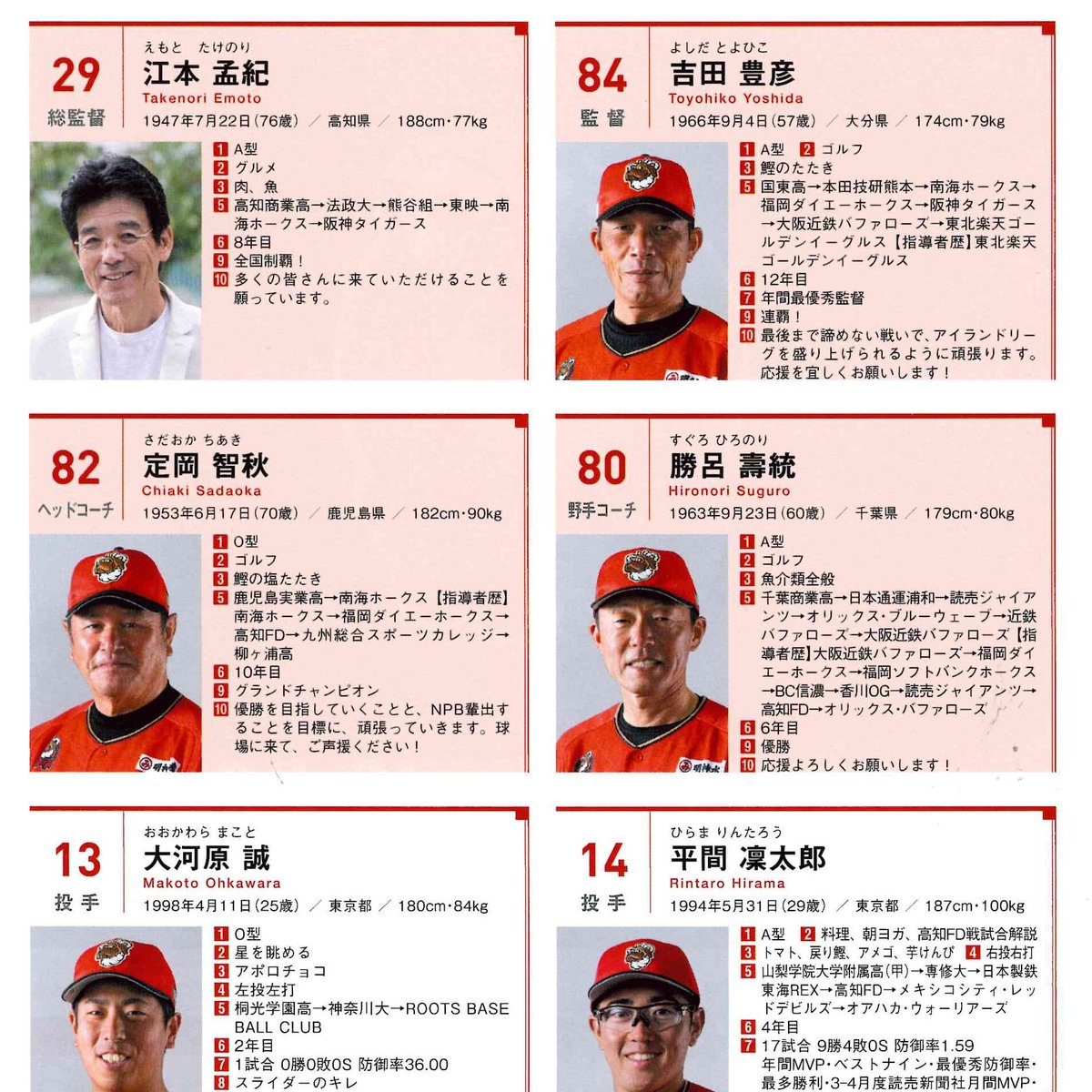 高知ファイティングドッグス オーセンティックユニホーム 四国