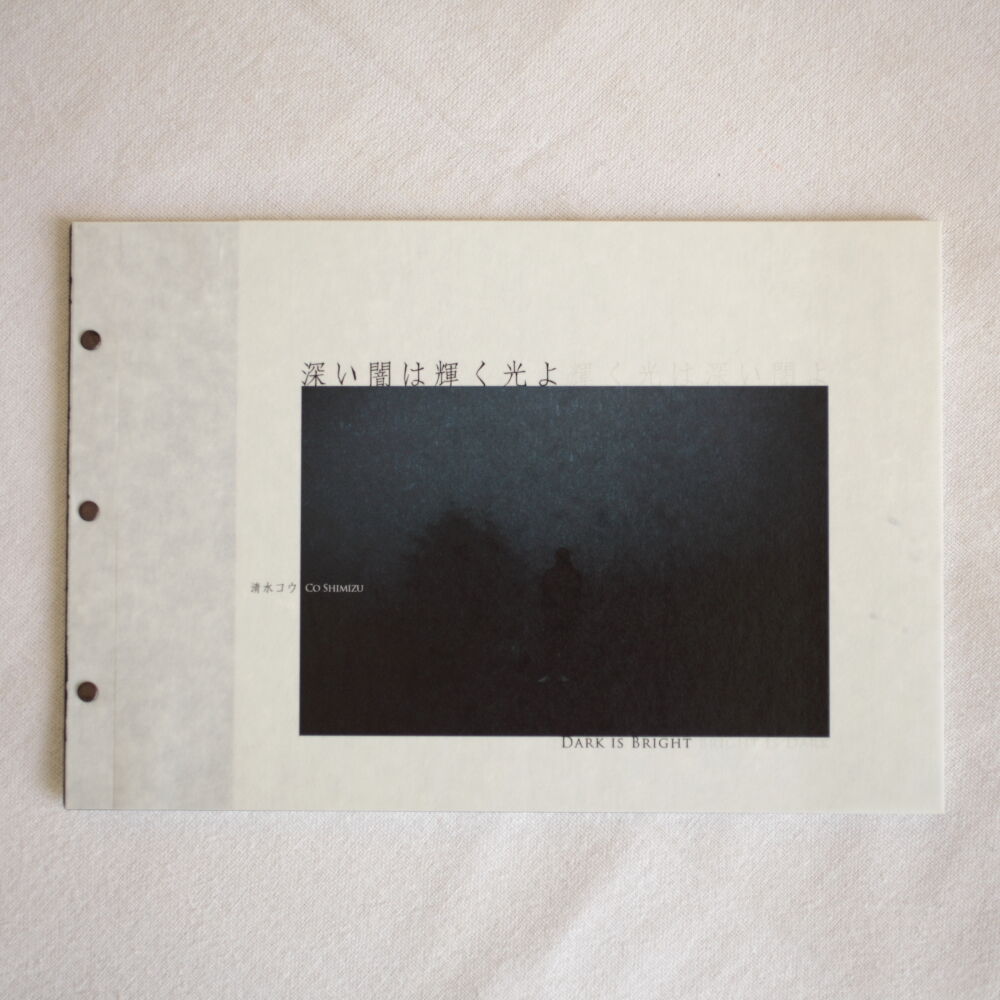 光と闇 篠原太郎 / 光と陰 廃盤 CD THE BRICK'S TONE - メルカリ