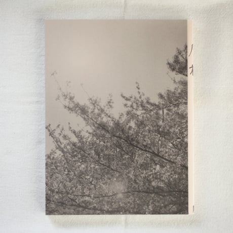 「灰桜」／「Grayish Cherry Blossoms」　千葉雅人／Chiba Masato　 Masato Co.
