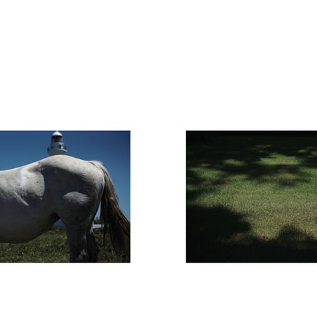 「午後の洞　-木馬の午睡-」／「A HOLE OF AFTERNOON　-a daydreaming wooden horse-」　清水コウ／Shimizu Co　Masato Co.
