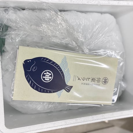 『伸東ヒラメ』×『津本式究極の血抜き』ラウンド