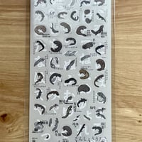 N-22 透明シール：B【ひらがな両生類】
