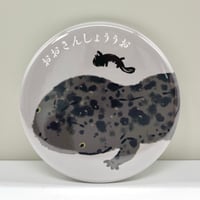 N-24 違いがわかる缶バッジ【オオサンショウウオ】