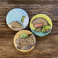 N-09両生類なかよし缶バッジ