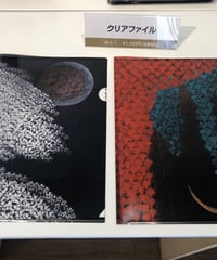 クリアファイル2枚セット【A4サイズ】