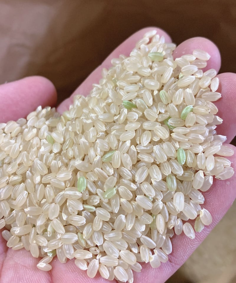 無農薬栽培つや姫 | しまさき農園 無農薬栽培つや姫 | しまさき農園