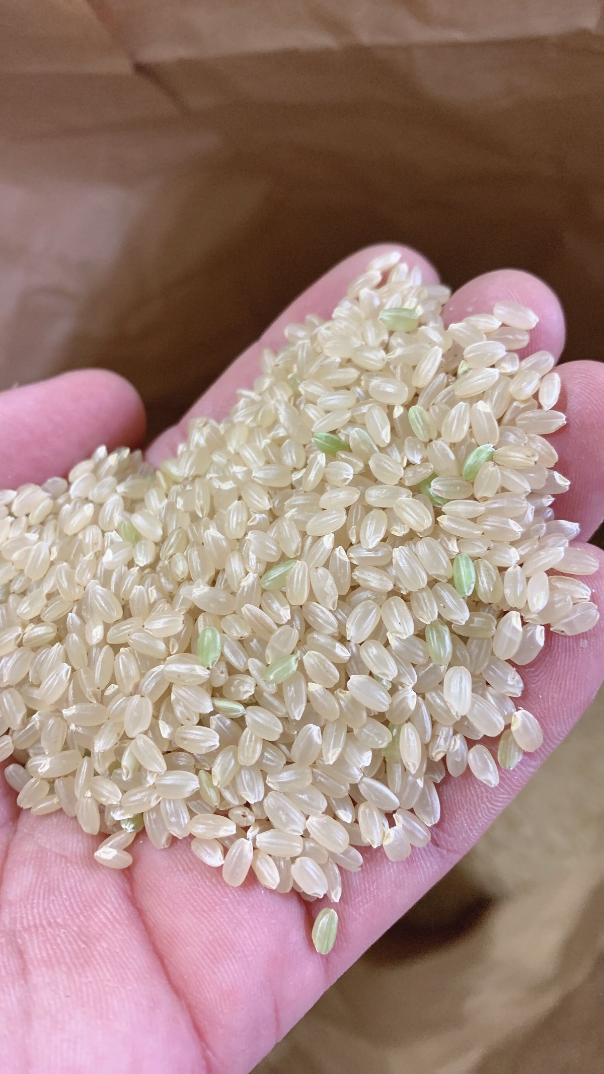 無農薬栽培つや姫 | しまさき農園 無農薬栽培つや姫 | しまさき農園