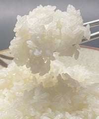 しまさき農園の米【慣行栽培】