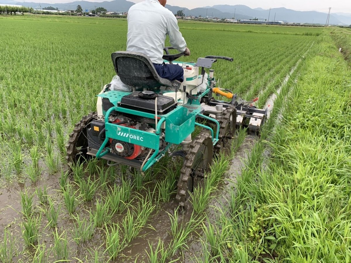 さなえさん専用つや姫☆令和3年 ☆新米つや姫☆ 特殊農法 ☆宮城県産 新米予約】令和7年産 農薬不使用つや姫 | しまさき農園