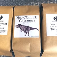 コーヒー豆 おまかせ200g×3点