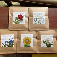 【自宅用】季節の草花珈琲ドリップバックセット(5個入×4=計20個入)