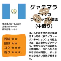 グァテマラ フィンカ ヴィジャウレ農園（中煎り）200g
