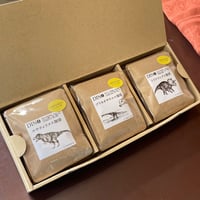DINO珈琲 ドリップバッグ ギフトボックス 15個入