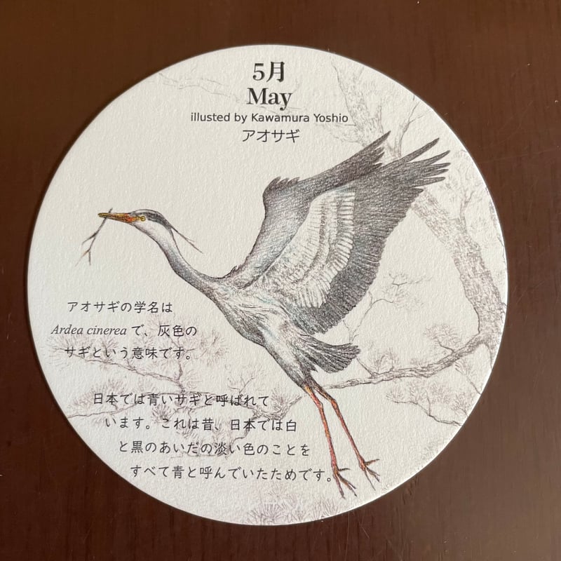 コースター 俺とジェットコースター@東山動植物園｜特に無し