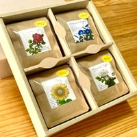 季節の草花珈琲 ドリップバッグ ギフトボックス 20個入