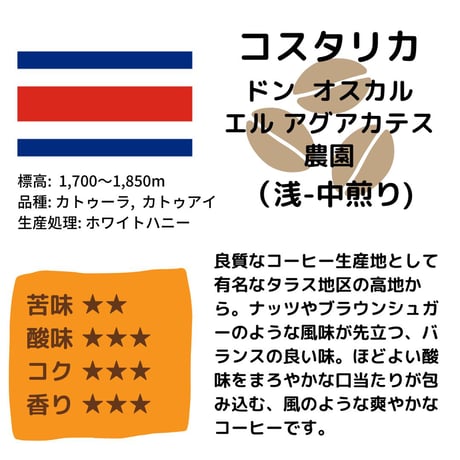 コスタリカ ドン オスカル エル アグアカテス農園（浅-中煎り）200g