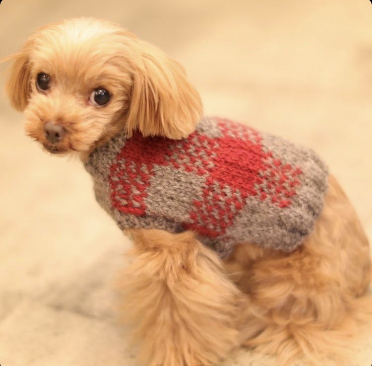 手編みチェック柄ニット | Dog clothes TAKE