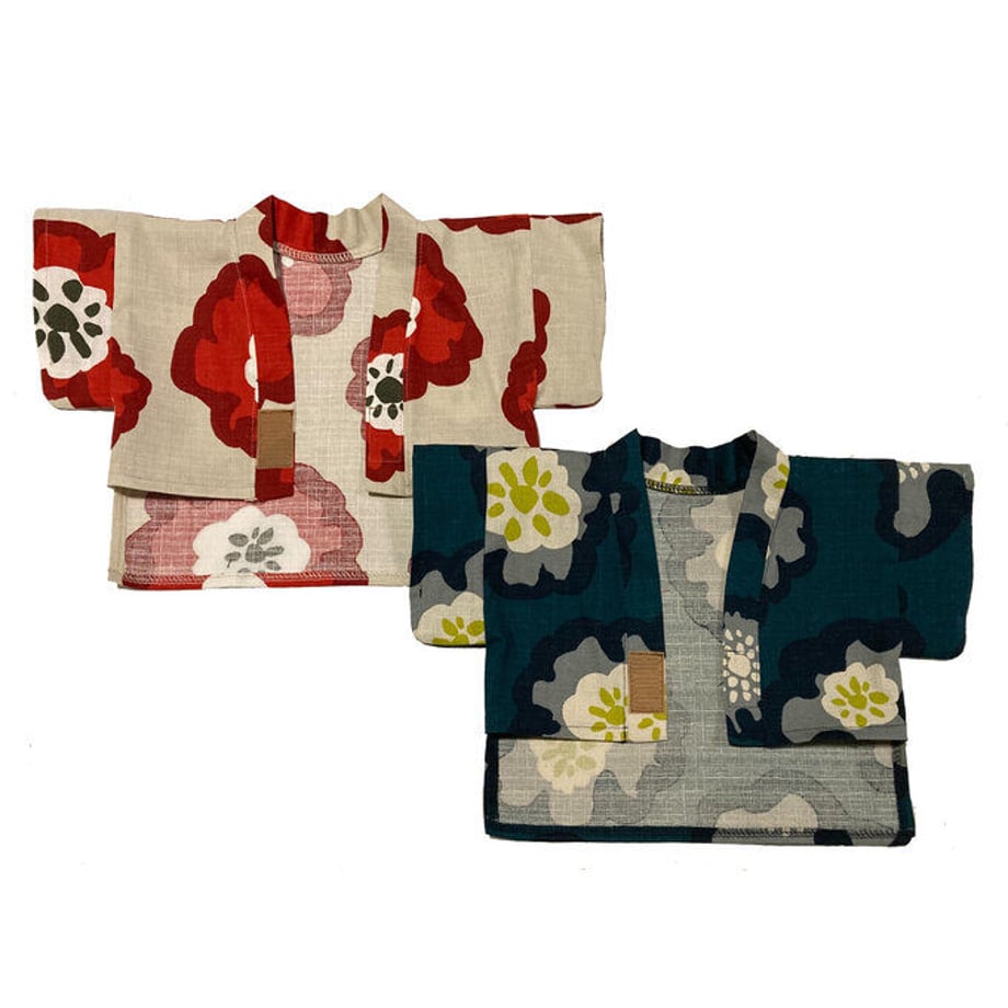62dfd5ad0850a00f17bc84f7