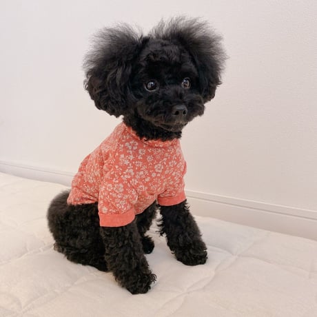 花柄ロールアップスリーブTシャツ