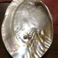 パール皿＆台座(台座は新品)