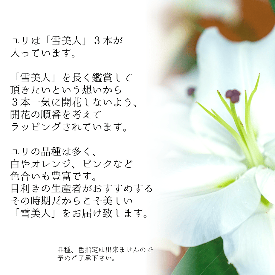 631ae9fe4ba8b418e37eacd1