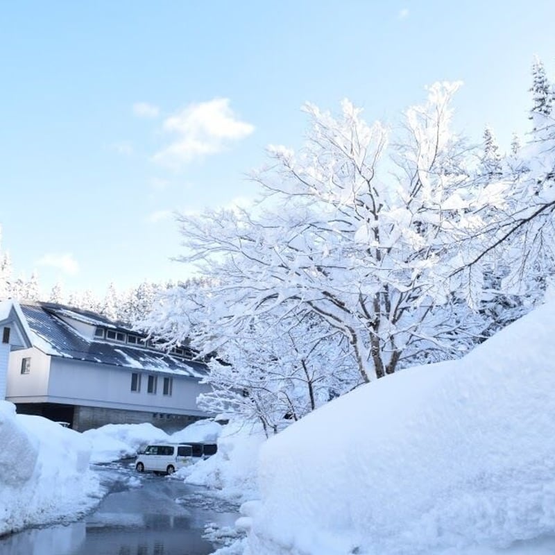 郷雪（ごうせつ）セット」津南から雪と日本酒を詰めてお届け！津南の雪