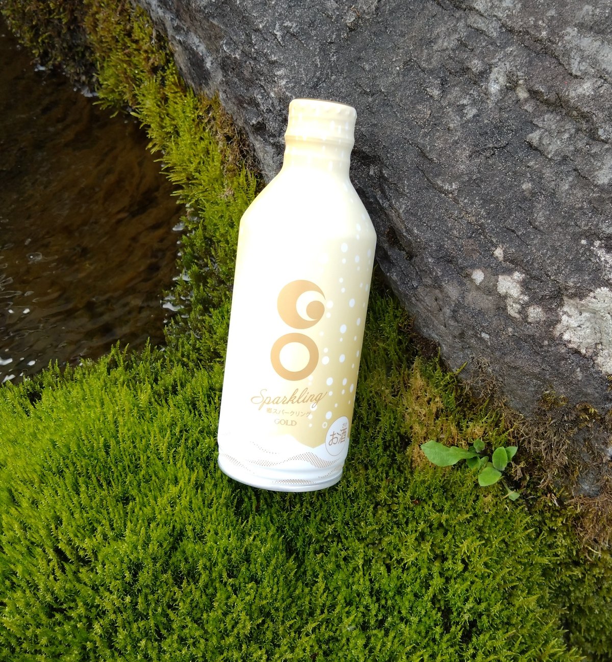 DOB君　パールゴールドホワイト　日本語版 大人の日本酒スパークリング】GO SPARKLING GOLD 270ml | 津南醸造 S