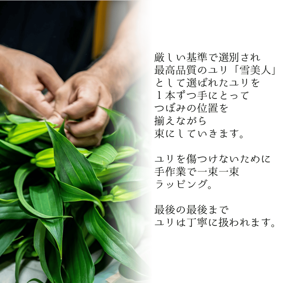 631ae9fe4ba8b418e37eacd1
