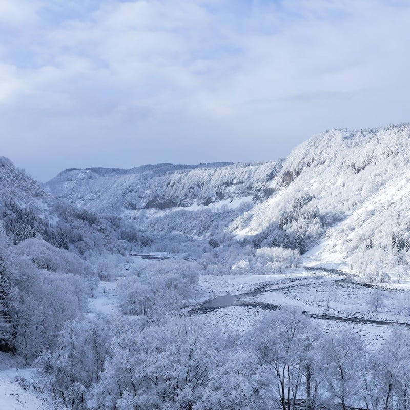 郷（GO）DINER 720ml【IWC2025 Gold受賞】 | 津南醸造 STORE